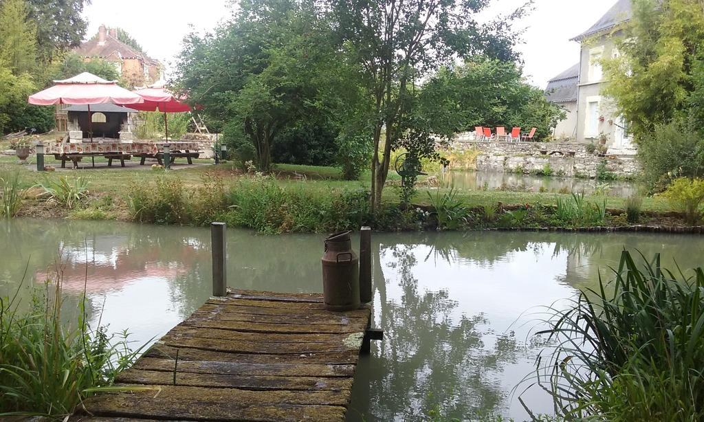 Le Moulin Du Modon Proche Du Zooparc De Beauval Bed and Breakfast Couffy Eksteriør billede