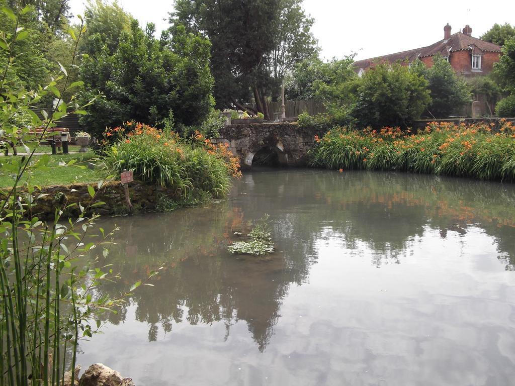 Le Moulin Du Modon Proche Du Zooparc De Beauval Bed and Breakfast Couffy Eksteriør billede
